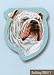 Bulldog Sticky Notes Notebook