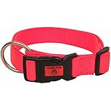 Hamilton Adjustable Nylon Dog Collar in Orange, Large, 16"-26" L X 1" W