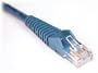 Tripp Lite N001-010-BL 10' Cat5e Cat5 350MHz Blue Snagless Molded Patch Cable RJ45M/M - 10ft