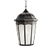 Kichler Lighting 11016RZ Courtyard 1-Light Fluorescent Outdoor Pendant, Rubbed Bronze with Etched Seedy Glass