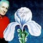 Kevorkian Suite: Very Still Life