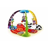 Fisher Price Miracles & Milestones Playful Puppy Gym
