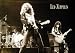 LED Zeppelin Live on Stage Jimmy Page 24x34 Poster