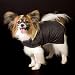 Reversible Goose-down Filled Dog Coat - Turquoise, Medium - Frontgate