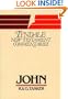 John (Tyndale Bible Commentaries Series)