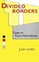 Divided Borders: Essays on Puerto Rican Identity