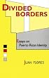 Divided Borders: Essays on Puerto Rican Identity