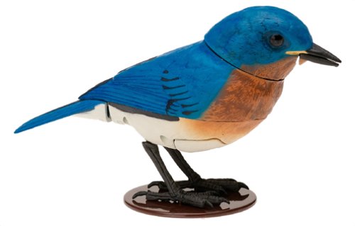 Buy Breezy Singer Eastern Bluebird by International Playthings now!