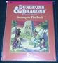 Journey to the Rock (Dungeons & Dragons Module B8)