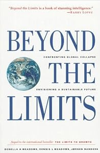 Cover of "Beyond the Limits: Confronting ...