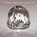 A Christmas Gift From Fortuna Pop!
