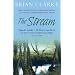 The Stream