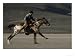 Rider Acts the Part of a Pony Express Mail-Carrier at a Reenactment near Carson City, Nevada World Culture Photographic Poster Print by Phil Schermeister, 16x12