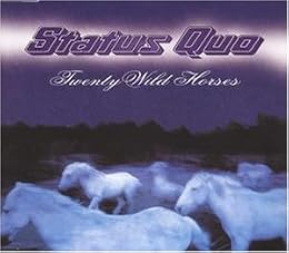 Status Quo Foto 23