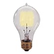 Bulbrite 134020 40W Nostalgic Edison Quad Loop-style Bulb