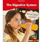 The digestive system : what makes me burp?