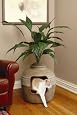 Hidden Litter Box (20" x 20")