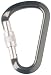 Confronta prezzi Salewa - HMSTWIST LOCK G2, Moschettone, colore: Verde