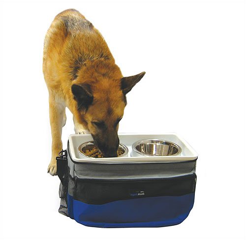 Dock Dogs Portable Crate - Extra Large