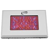 300W LED Grow Light Lighthouse Hydro 300 Watts Flowering