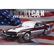 (40x55) Mustang GT 350 (American Muscle, Huge) Art Poster Print