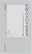 「中国人」という生き方 ―ことばにみる日中文化比較 (集英社新書)