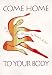 Come Home to Your Body: A Workbook For Women (Llewellyn's Whole Life Series)