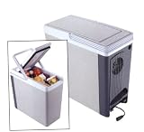 Compact Thermo-Electric Cooler