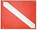 Innovative Dive Flag.