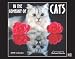 In Company of Cats 2008 Calendar