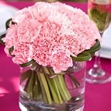 Send Fresh Cut Flowers - Carnation Centerpiece (3pc) - Pink
