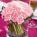 Send Fresh Cut Flowers - Carnation Centerpiece (3pc) - Pink