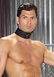Leather Collar With D Ring (Black;Men's One Size)
