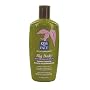 Kiss My Face Organic Big Body Conditioner for Fuller Thicker, 11-Ounce Bottles (Pack of 3)