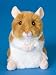 Brushy Hamster 5" Plush Stuffed Animal by Doulgas Cuddle Toy