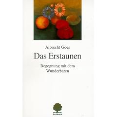 Das Erstaunen. Begegnung mit dem Wunderbaren