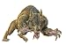 Mythical Monsters Wall Decals - Werewolf 36" Removable Wall Graphic