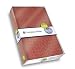 Book Life & Style Compact Bible - Crocodile Red: Spring Line 2005 (Bible Ncv)