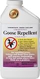 Liquid Fence #147 Quart Concentrate Goose Repellent