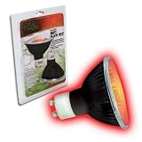 HALOGEN BULB NIGHT BLACK HEAT 50 WATT
