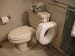 Hanger for Elevated Toilet Seat Riser: Potty Peg 2 Piece System