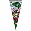 NHL Premium Quality Pennant 17-by-40 inch