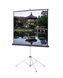 Da-Lite 96 x 96 Square Format Tripod Screen with High Contrast Matte White Fabric