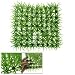 Green Spring Lawn Plastic Grass Rug Mat for Aquarium Fish Tank Decor