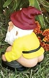 Squatting Gnome