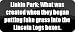 Linkin Park: What was created when they began putting fake grass into the 