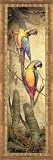 Macaw I By Steve Butler. ART PRINT Size: 12 x 36 Inches
