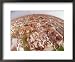All Products : The Devastation Left by Hurricane Andrew is Clear Framed Art Poster Print, 22x18