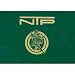 NTP Bridge Lilly Jumbo Index Plastic Playing Cards (Green/Gold)