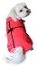 Anit Accessories Gift Coat Dog Apparel, Small 12-inches